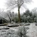 winter gardens