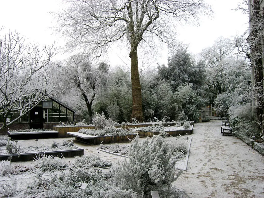 winter gardens