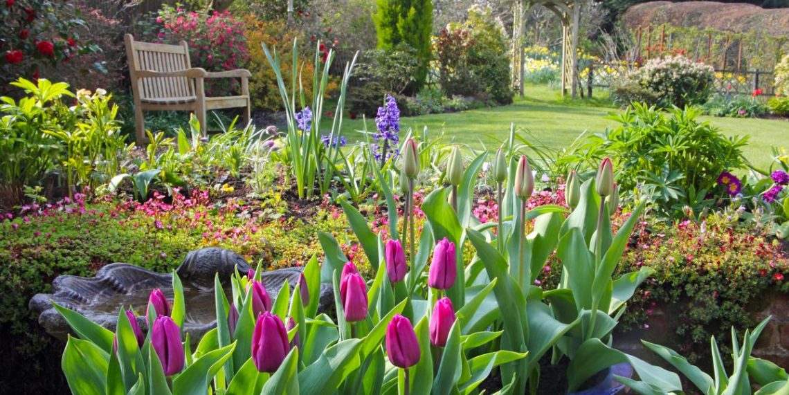 garden plants that flower