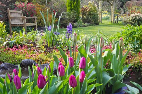 garden plants that flower